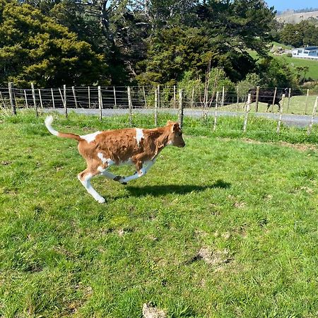 Pukeatua Farmstay Waimauku Экстерьер фото