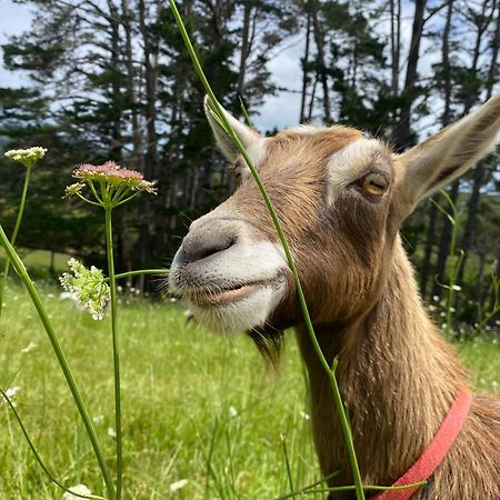 Pukeatua Farmstay Waimauku Экстерьер фото
