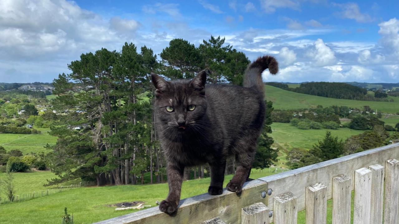 Pukeatua Farmstay Waimauku Экстерьер фото