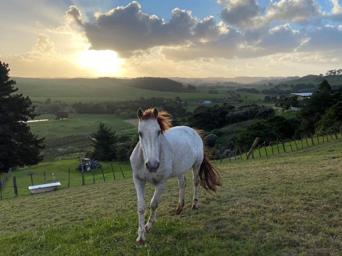 Pukeatua Farmstay Waimauku Экстерьер фото