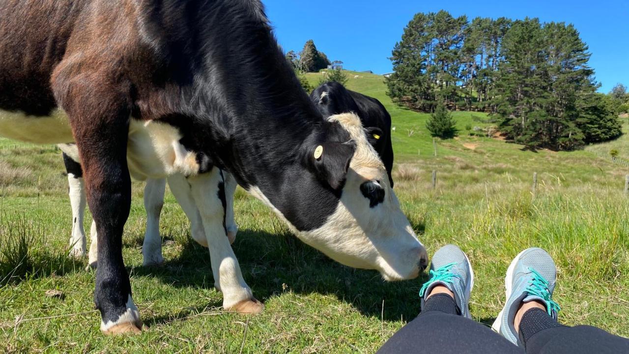 Pukeatua Farmstay Waimauku Экстерьер фото