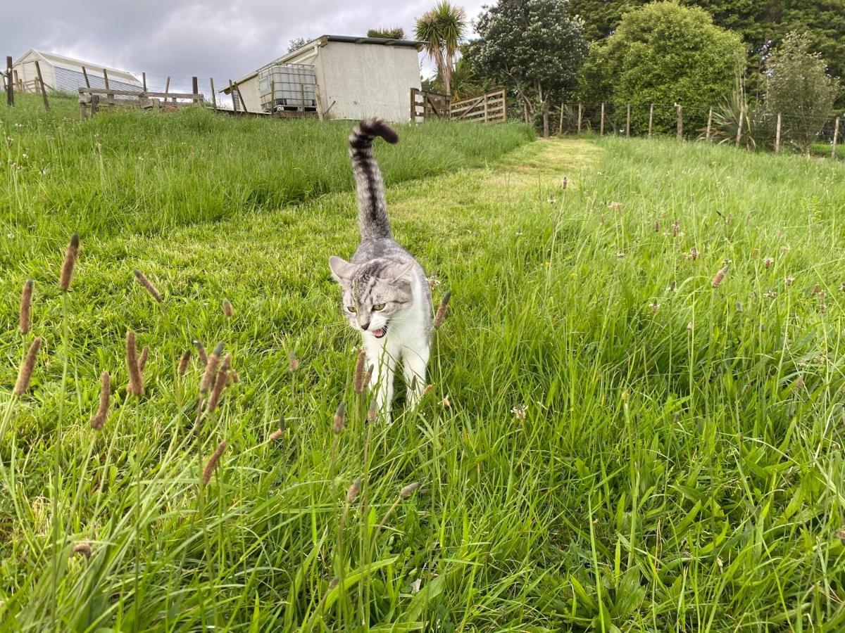 Pukeatua Farmstay Waimauku Экстерьер фото