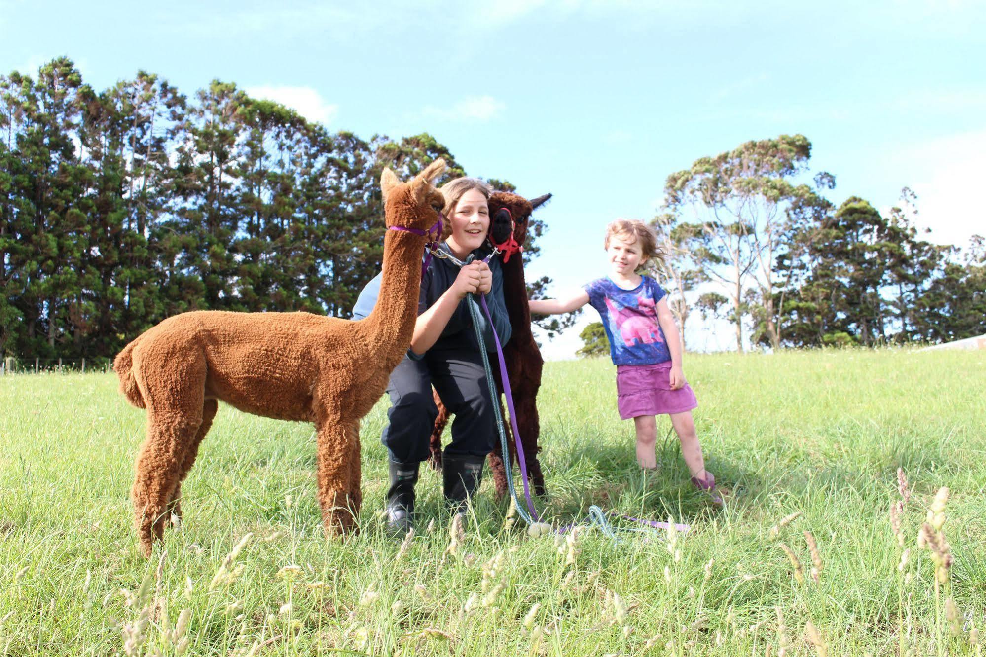 Pukeatua Farmstay Waimauku Экстерьер фото